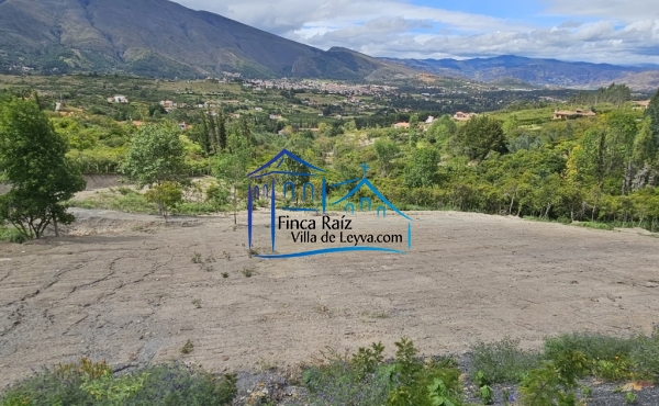 Primera terraza