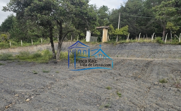 segunda terraza