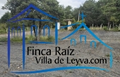 segunda terraza
