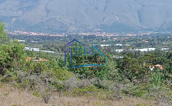 vista lateral
