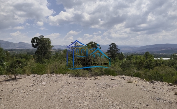 parte baja del terreno