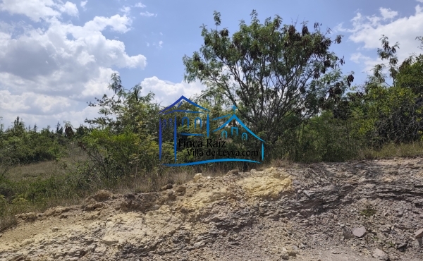parte alta del terreno