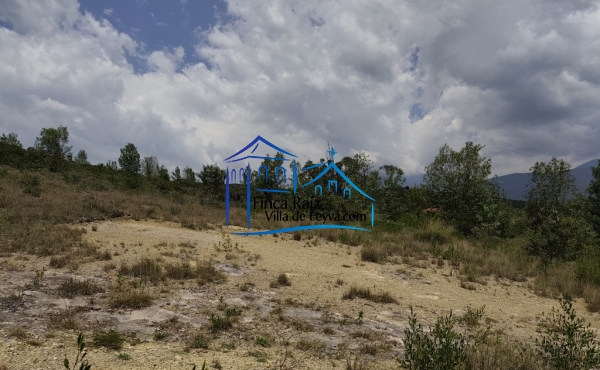 terreno semi plano