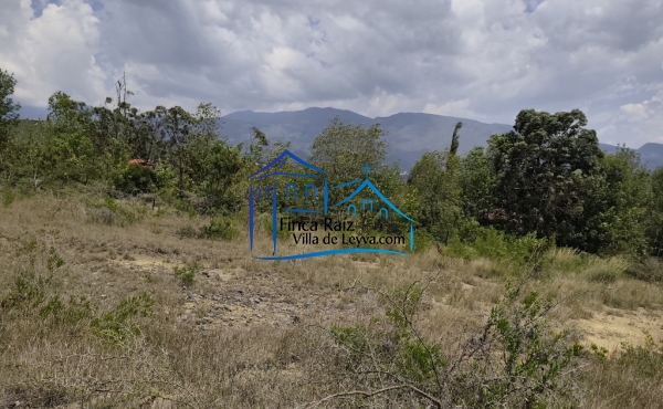 parte central del lote