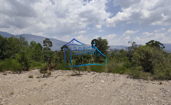 parte central del terreno