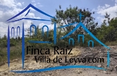 parte alta del terreno