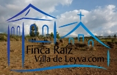 parte plana