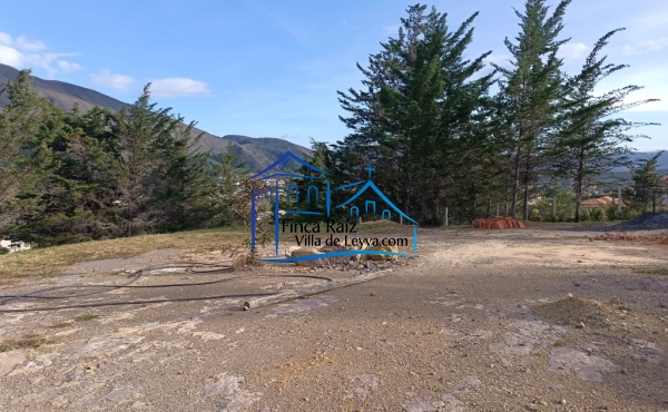 terreno semi plano