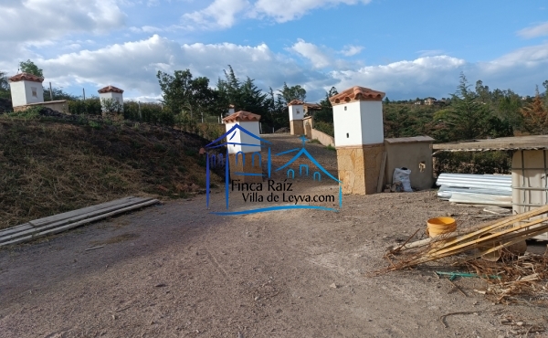 portada del lote