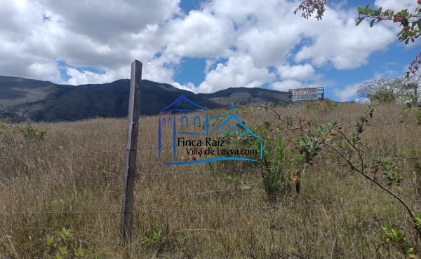 terreno semiplano